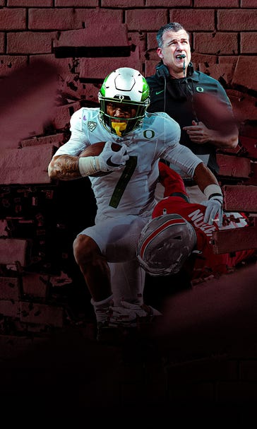 Ducks On The Hunt